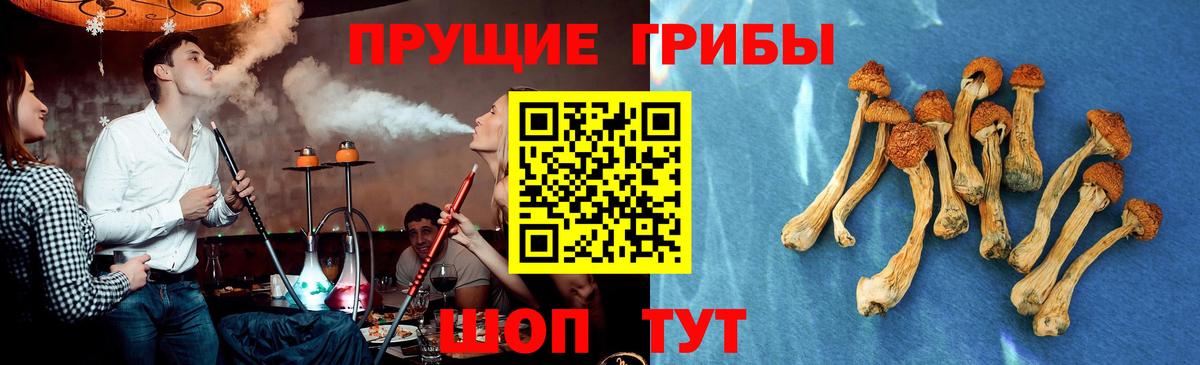 Галлюциногенные грибы мухоморы  Вход с VPN  Галлюциногенные грибы Psilocybine cubensis  Советский 