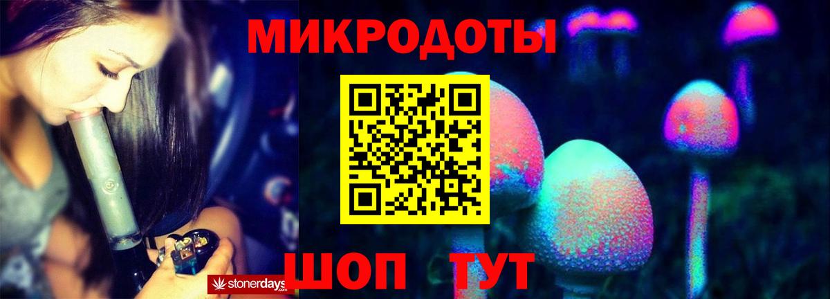 Псилоцибиновые грибы Psilocybe Советский