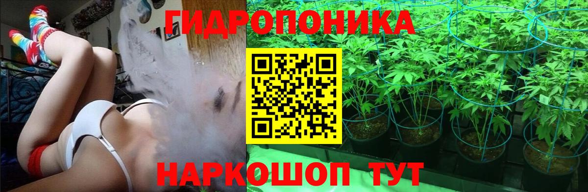 Конопля семена Советский